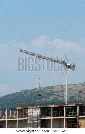 Nagy daru