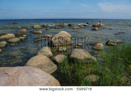 海の海岸。