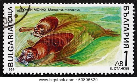 Postage Stamp Bulgaria 1991 Mediterranean Monk Seal, Marine Mamm