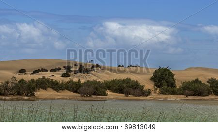 Maspalomas - La Charca