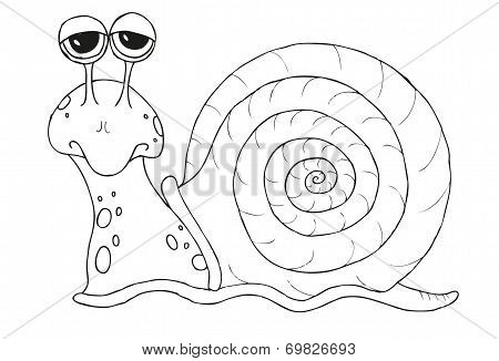 snail