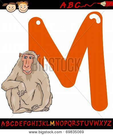 Letter M For Macaque Cartoon Illustration