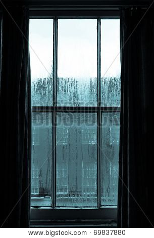 Window