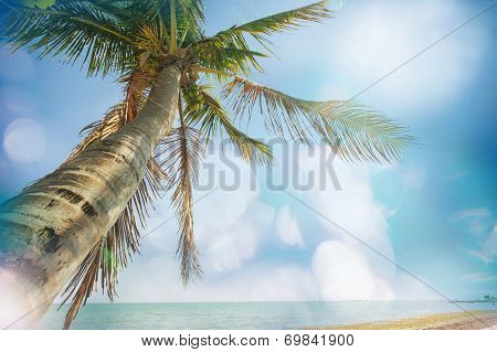Serenity beach