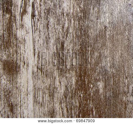 wood background