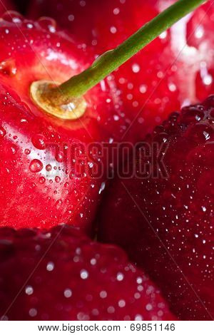cherry