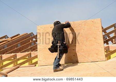 Roof Sheet