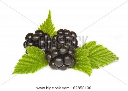Blackberries