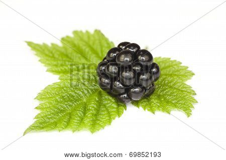 Blackberries