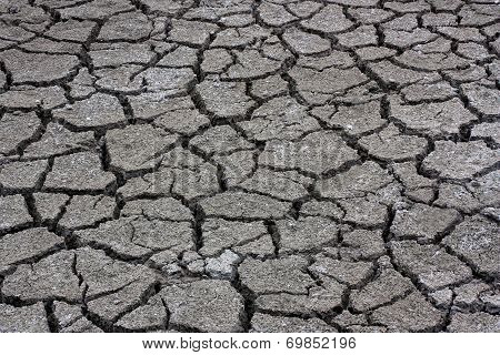 Dry Ground