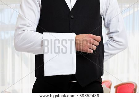 Portrait of a professional waiter