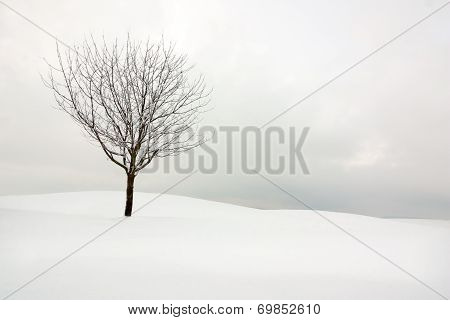 Cold And Snow