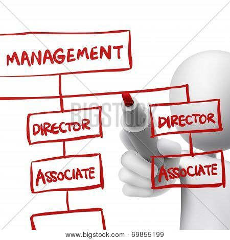 Org Chart Drawn By A Man