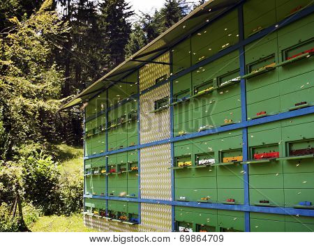 Apiary