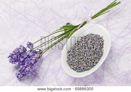 Lavender Flowers Fresh And Dry