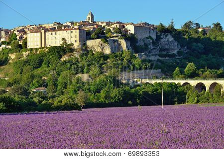 Provence Rural Landscape