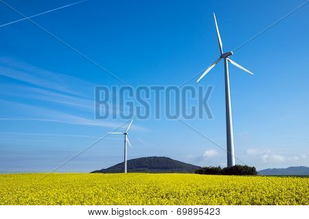 Windwheel and rapeseed in Germany