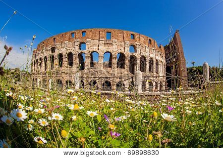 Famous landmark, old Colosseum in Rome, Italy