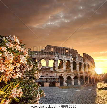 Famous landmark, old Colosseum in Rome, Italy