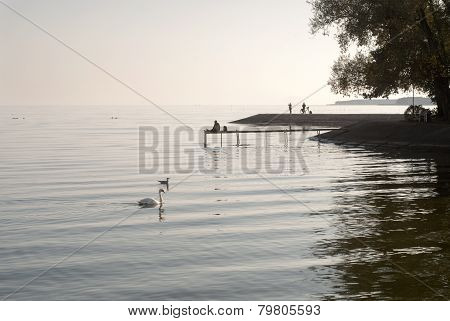 Calm evening athe laggon