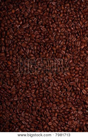 เมล็ดกาแฟ