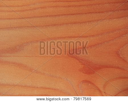 Larch Wood Background