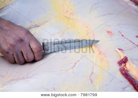 Pastores descuartizan el cadáver de una vaca