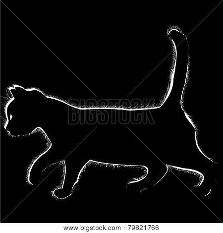 Cat_02.eps