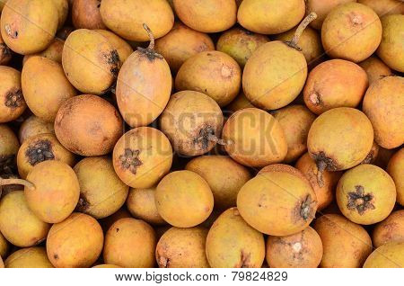 Sapodilla