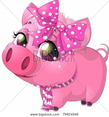 glamour pig
