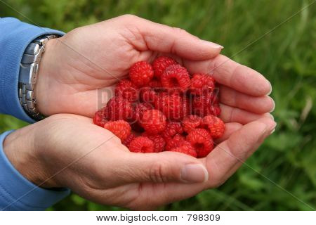 Frambuesas