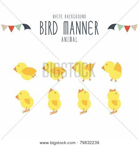 Movements illustration of birds vector on white background.