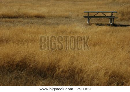 Picnic table in golden grass