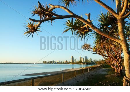 Southport Australia del Labrador