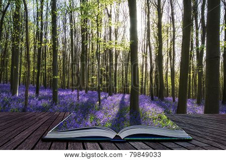 Creative Concept Image Stunning Bluebell Flowers In Spring Forest Landscape