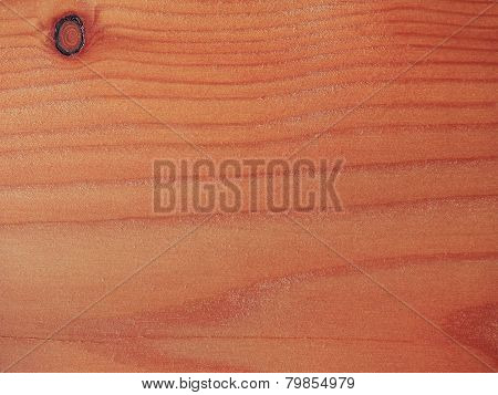 Larch Wood Background