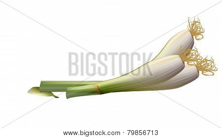 Onions big Golden