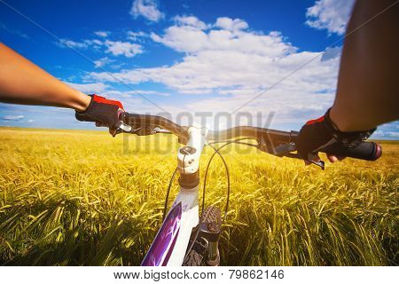Mountain biking in the field. View from bikers eyes.