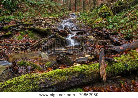 Water down The Hill
