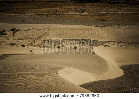 Sand Dune in Nubra Valley