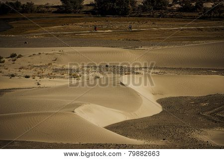 Sand Dune in Nubra Valley