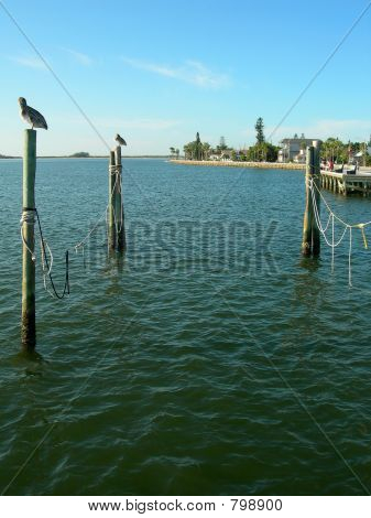 Tampa