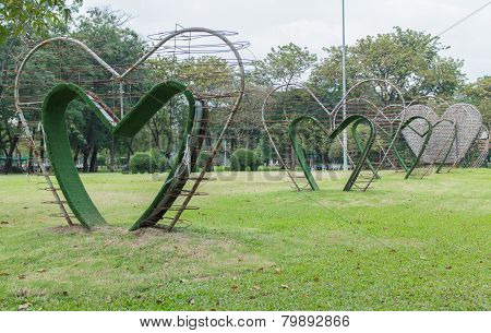 Tree Love