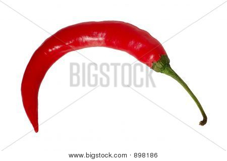 레드 핫 칠리 페 퍼