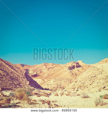 Desert