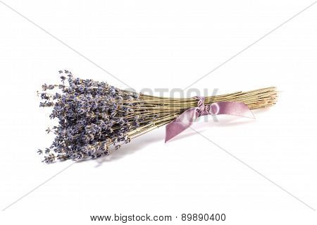Bunch of lavender flowers on a white background