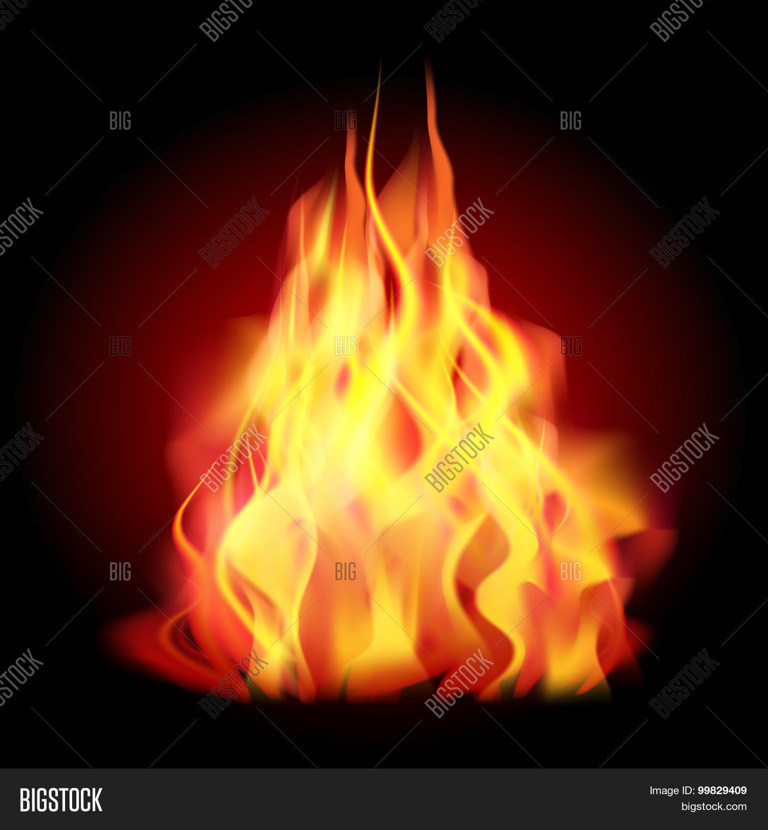 Image Preview