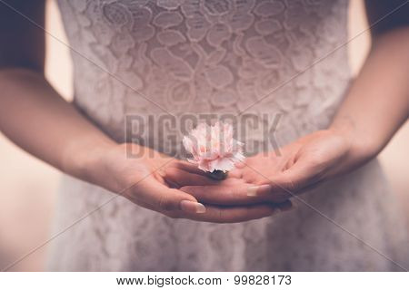 Carnation Flower