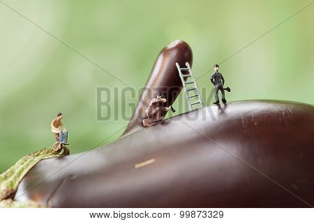 Miniature Workers On A Giant Eggplant