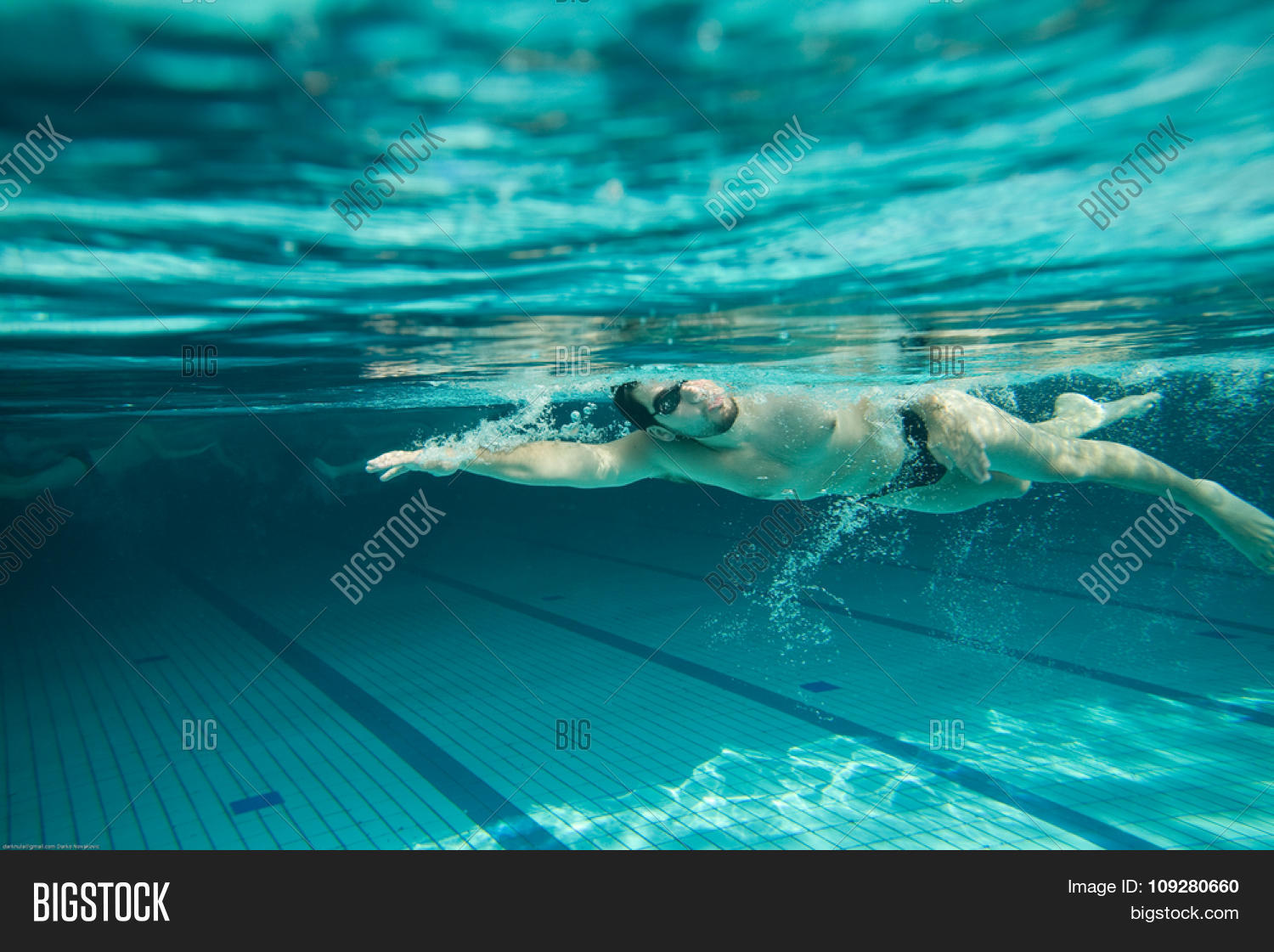Swimmer Swimming Pool Image & Photo (Free Trial) Bigstock